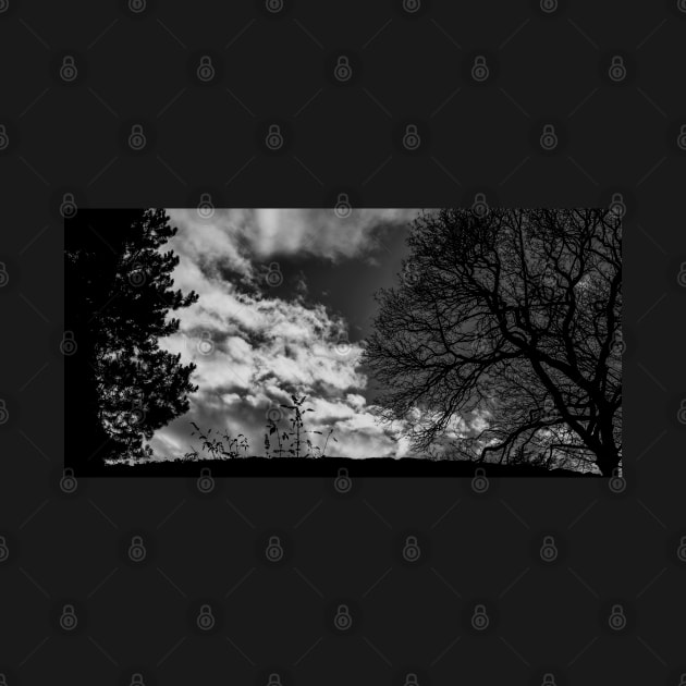 Silhouettes On A Jesmond Dene Foot Bridge by axp7884