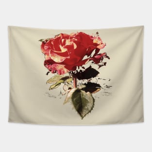 the Rose Tapestry