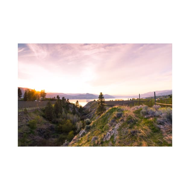 Okanagan Valley Sunset View from McCulloch Trestle by Amy-K-Mitchell