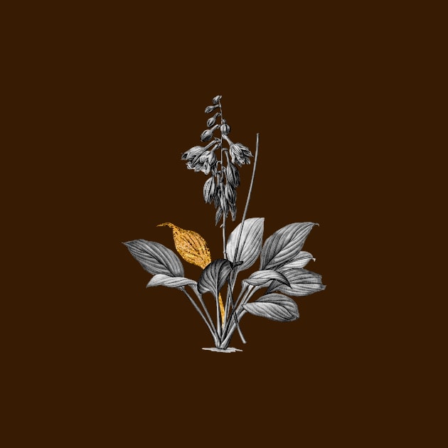 Black and Gold Leaf - Daylily - Vintage Botanical by Holy Rock Design