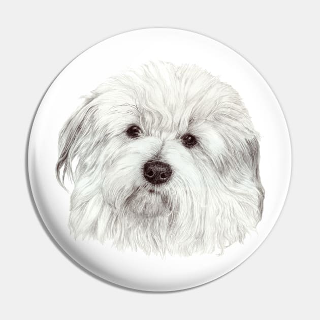 Coton de tulear Pin by doggyshop