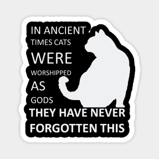 In Ancient Times Cats Were Worshipped As Gods v3 Magnet