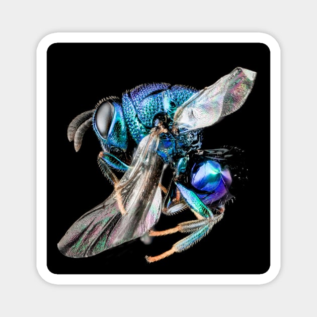 Stunning Macro Photography. Magnet by Jeramy's Store 1