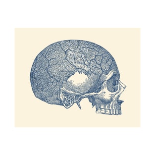 Vein and Skull Diagram - Vintage Anatomy T-Shirt