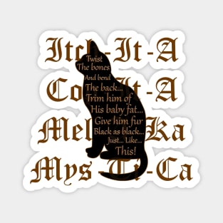 Black Cat Curse Magnet