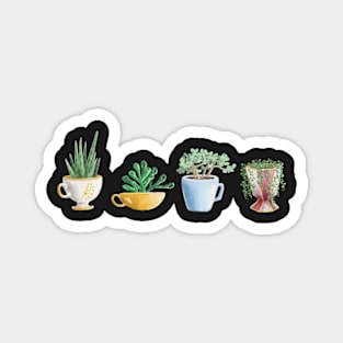 teacup succulents Magnet