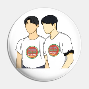 Twinkling Watermelon Kdrama Pin