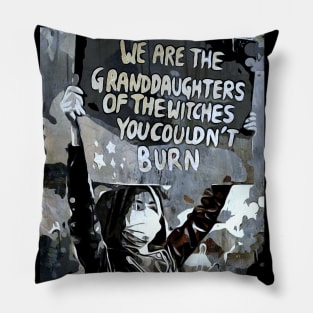 The Witches You Could Not Burn Pillow