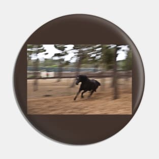 Running Black Beauty Pin