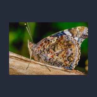 Butterfly with Abstract Wings Photograph T-Shirt