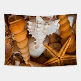 Seashells Beach Surfing Summer Nature Travel Tapestry