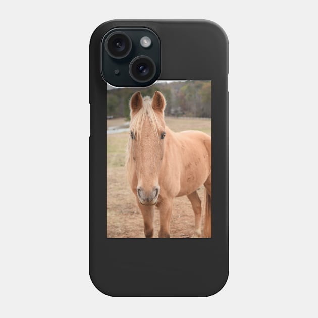 palomino horse in pasture Phone Case by sarelitay