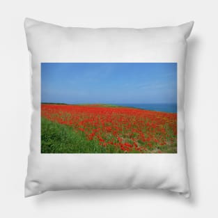 Poppy field Pillow