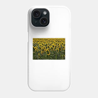 Sunflowers Galore Phone Case