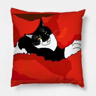 Cute Tuxedo Cat ready to sleep  Copyright TeAnne Pillow