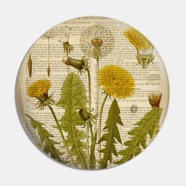 Botanical print, on old book page - Dandelion Pin by ArtDreamStudio