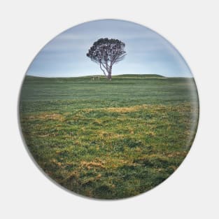 lone tree in the field Pin