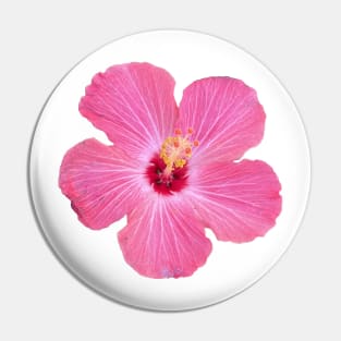 Dark Pink Hibiscus Flower Pin