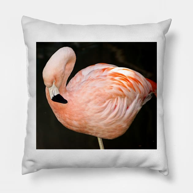 cli pink flamingo Pillow by pcfyi