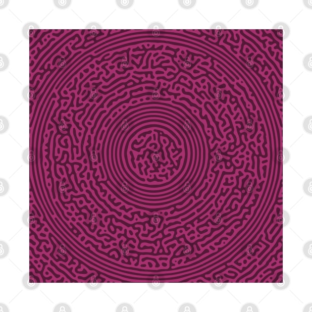 Circular Turing Pattern (Purple Pink) by John Uttley