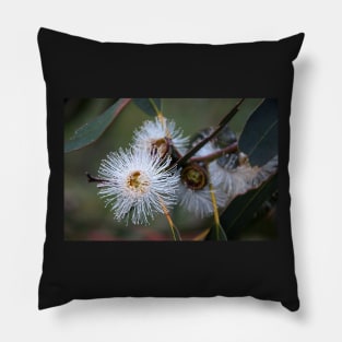 Gum Tree Flower by South Australian artist Avril Thomas Pillow