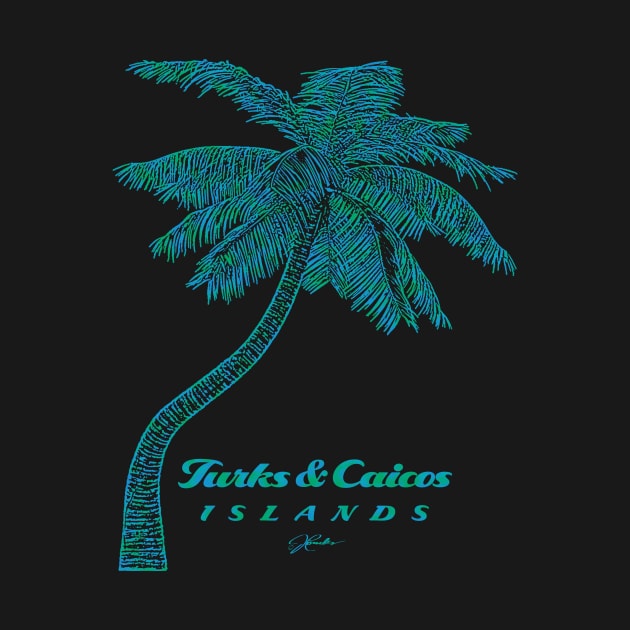 Turks & Caicos Islands Palm Tree by jcombs