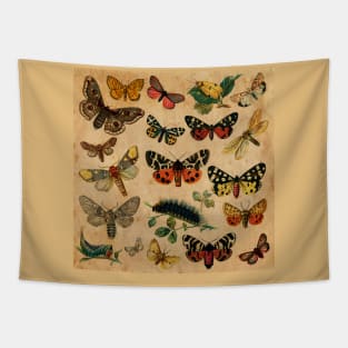 Butterflies Tapestry