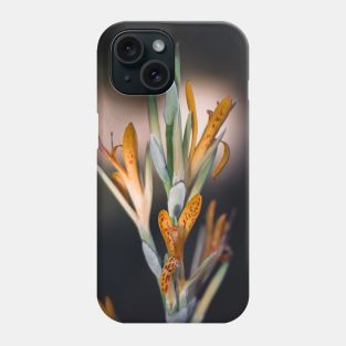 Indian shot Phone Case