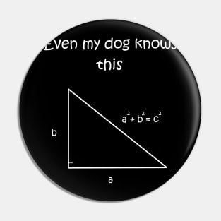 Even my dog knows pythagorean theorem Pin