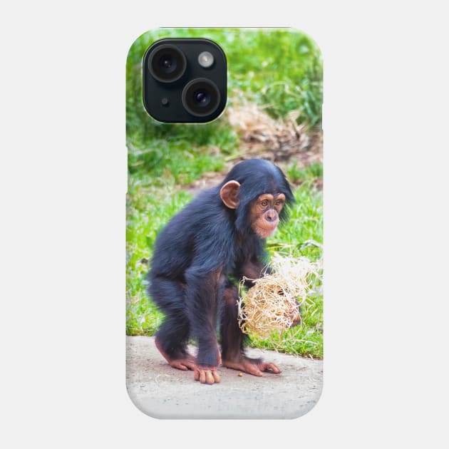 Young chimpanzee out walking Phone Case by Russell102