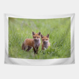 Red fox kits in the grassy meadow Tapestry