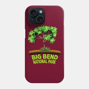 Big Bend National Park Phone Case