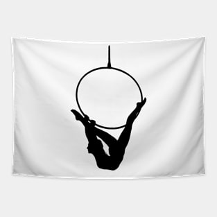 Aerial hoop Tapestry