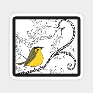 Wilson's Warbler Magnet