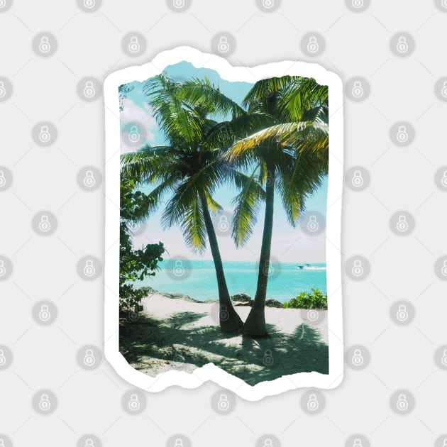 Palm tree photo Key West Florida blue sky palmtree landscape USA nature lovers Magnet by BoogieCreates