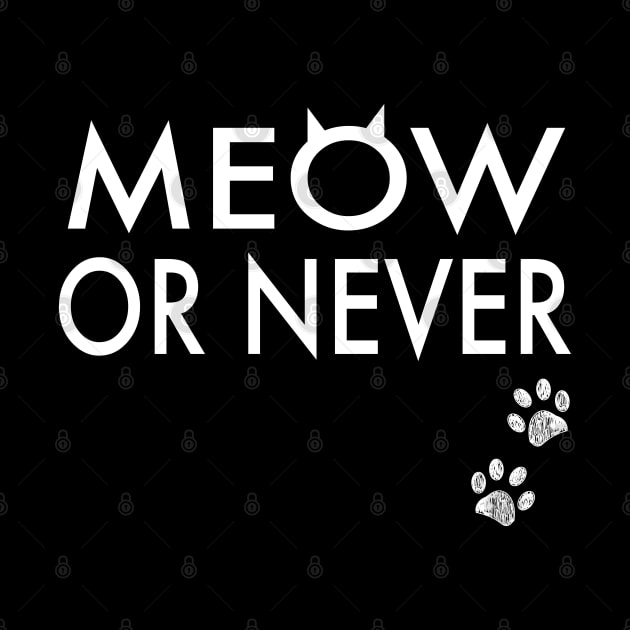 Meow or never by GULSENGUNEL