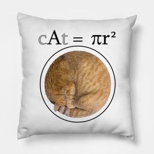 cAt = πr^2 Pillow