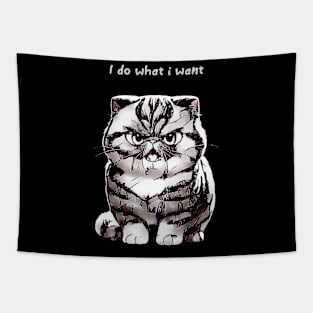 I Do What I Want --- Tapestry