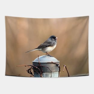 Dark-eyed Junco Standing On A Post Tapestry