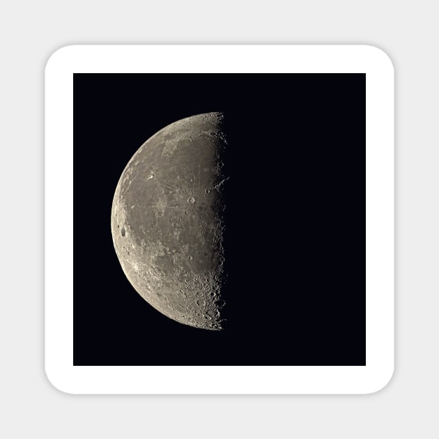 Last quarter Moon (R340/0665) Magnet by SciencePhoto