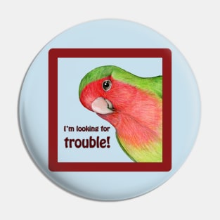 Curious lovebird Pin