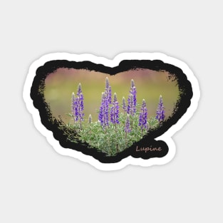 Lupine Heart Magnet