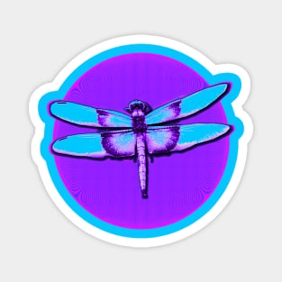 Dragonfly Circle Magnet