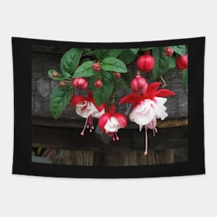 Red Fuchsia Tapestry