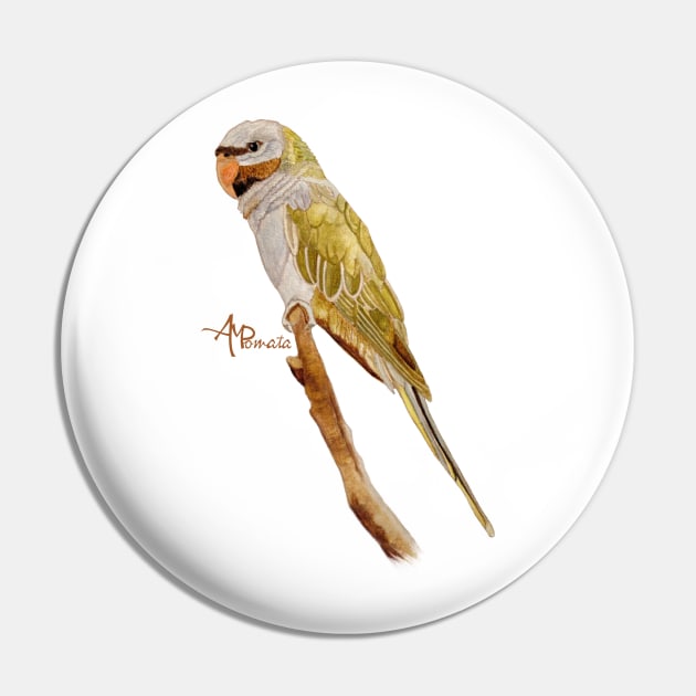 Derbyan Parakeet Pin by ampomata