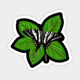 Zebra Swallowtail Butterfly Illustration Magnet