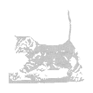 Cat in ASCII T-Shirt