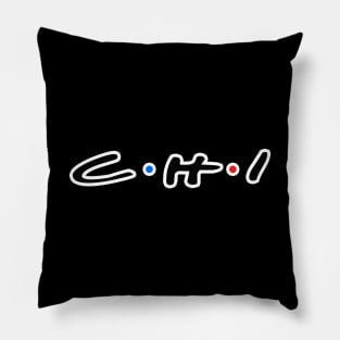 Chi Retro Pillow