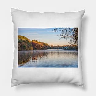 Early Morning Pond View Pillow