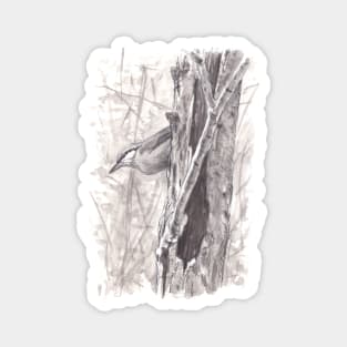 Nuthatch - Inktober Magnet